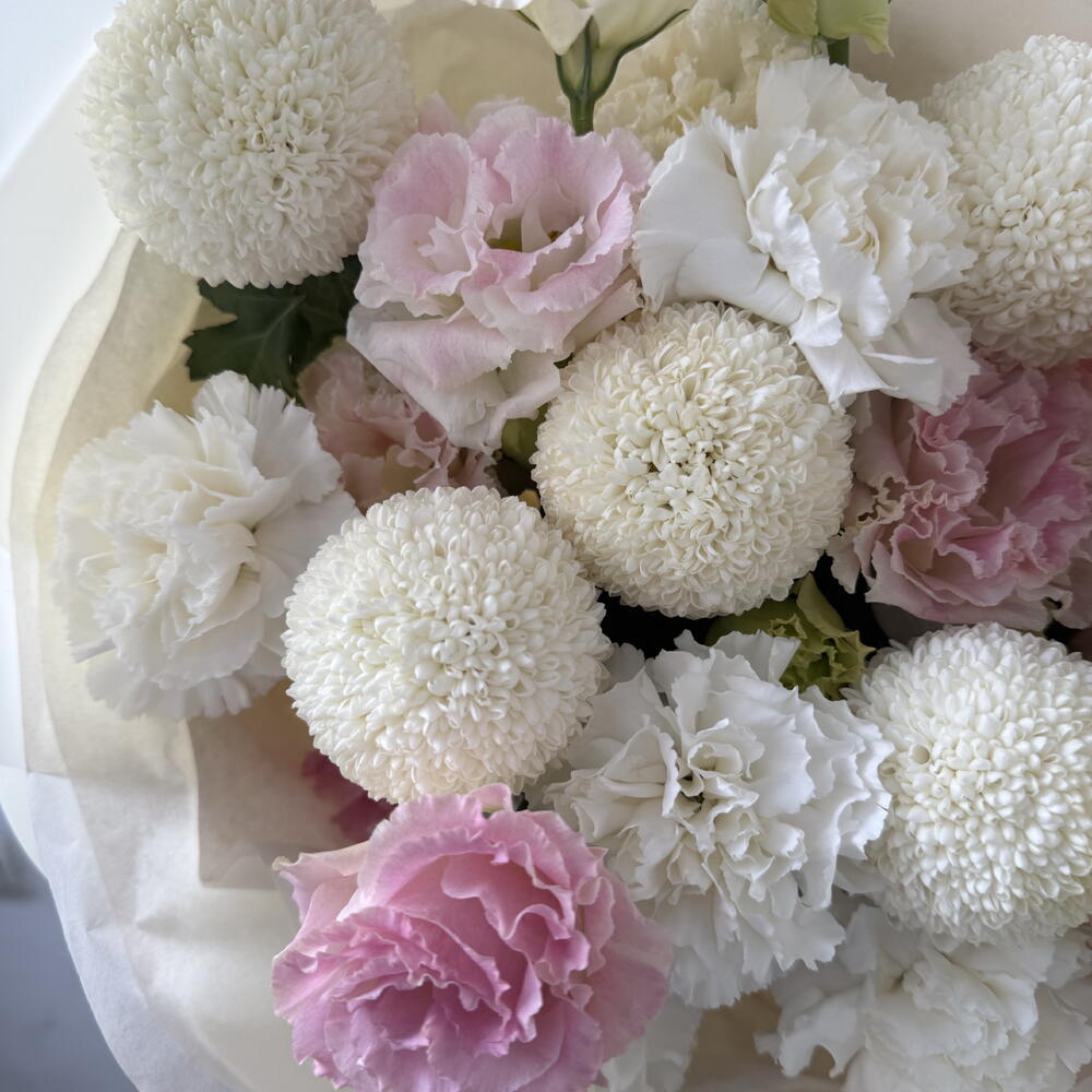 Mix momoko/eustoma/dianthus