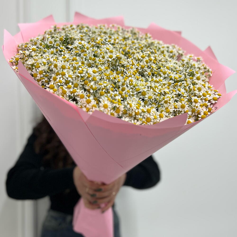 Букет из 101 ромашки