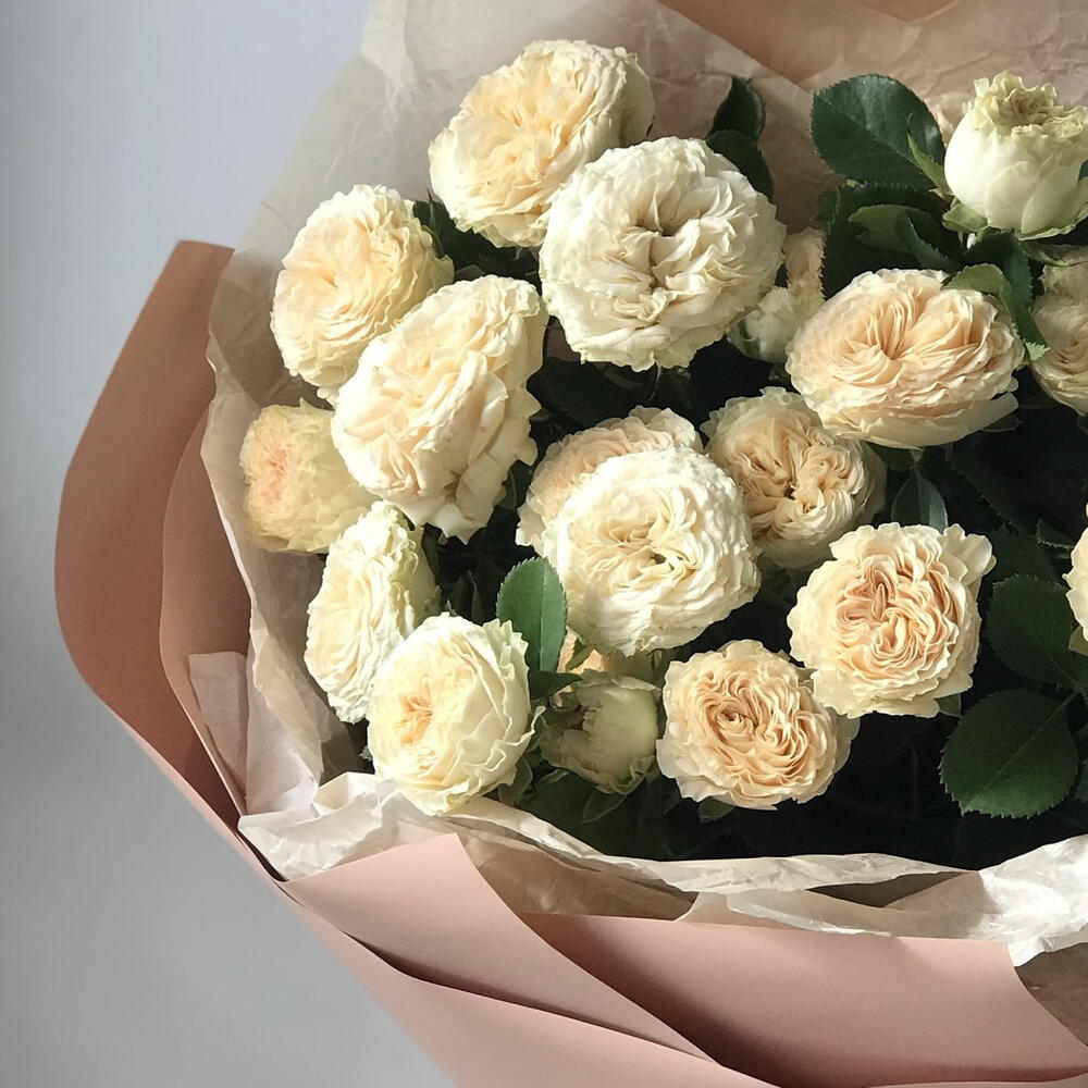 5 кустовых  пионовидных роз Summer Spray Rose