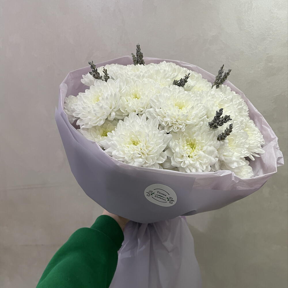 Прованс
