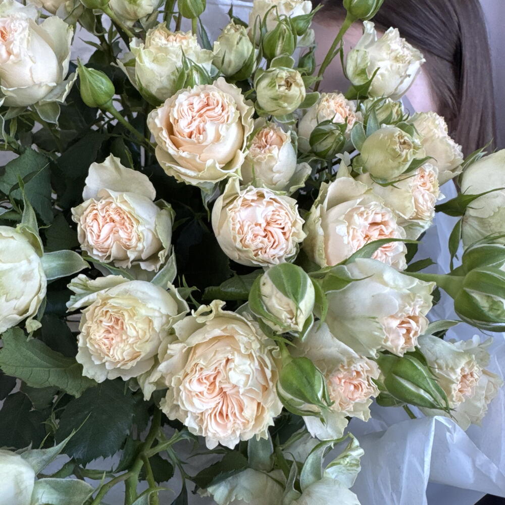 Букет из пионововидной кустовой розы «Саммер Роуз»