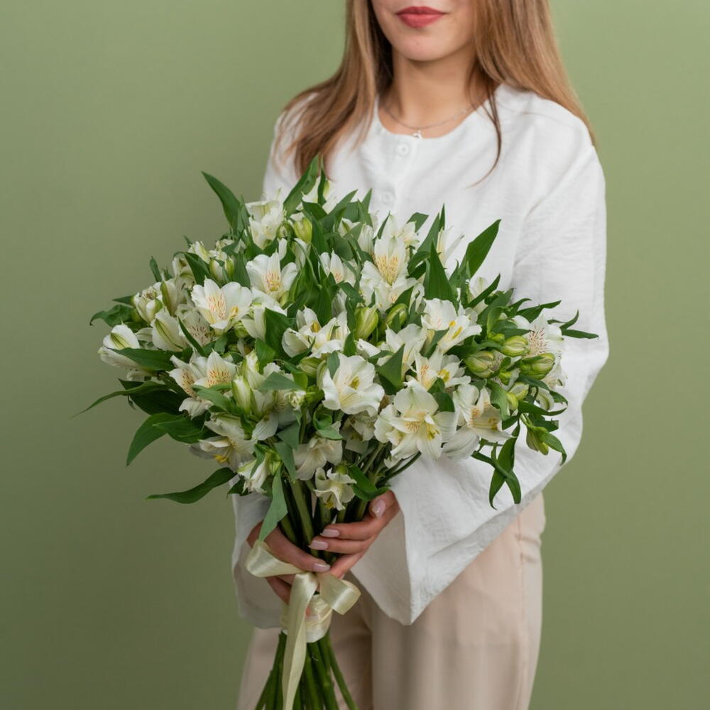 альстромерия белая 25