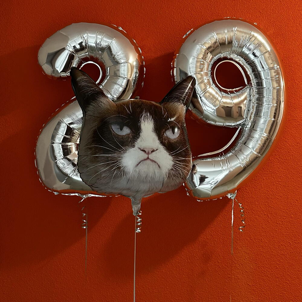 Сет цифры и кот