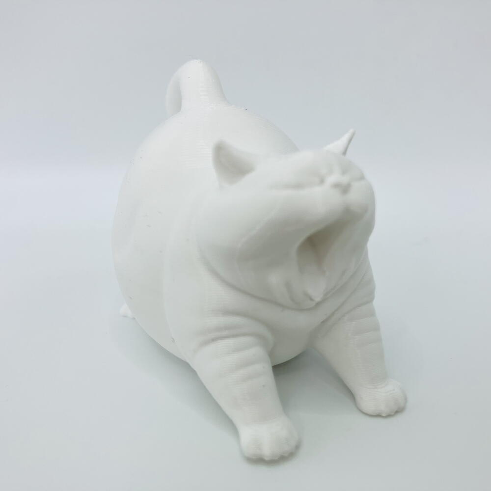 кот зевун котозилла белый