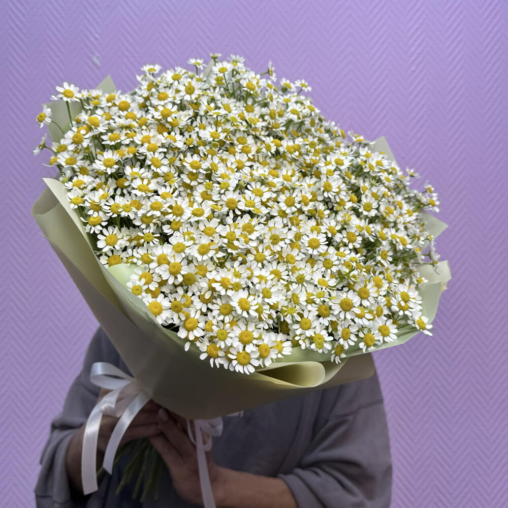 Ромашки кустовые 25 штук. Букет полевых цветов для девушки ♥️ на День рождение 🤩