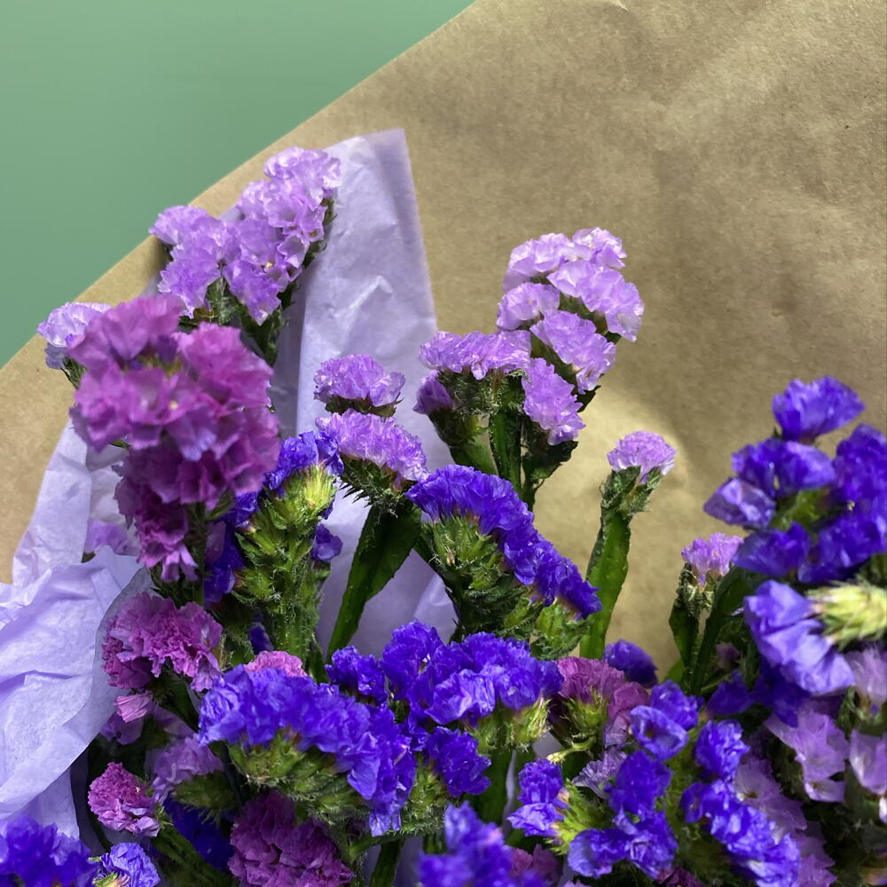Букет комплимент из 9 веточек статицы 💜
