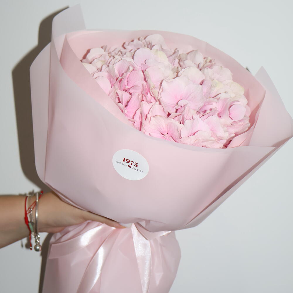 Pink hydrangea