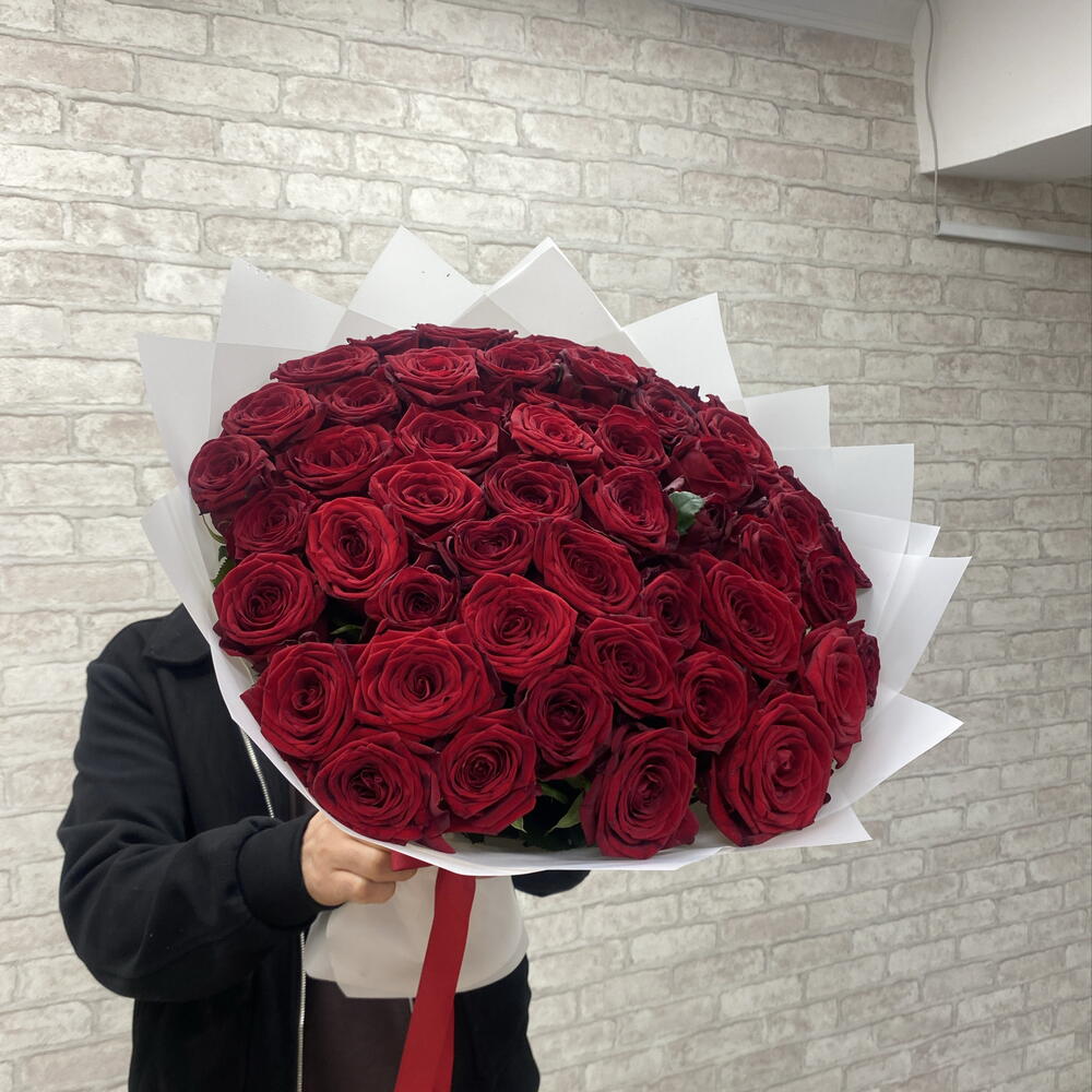 Роза красная🌹🌹🌹