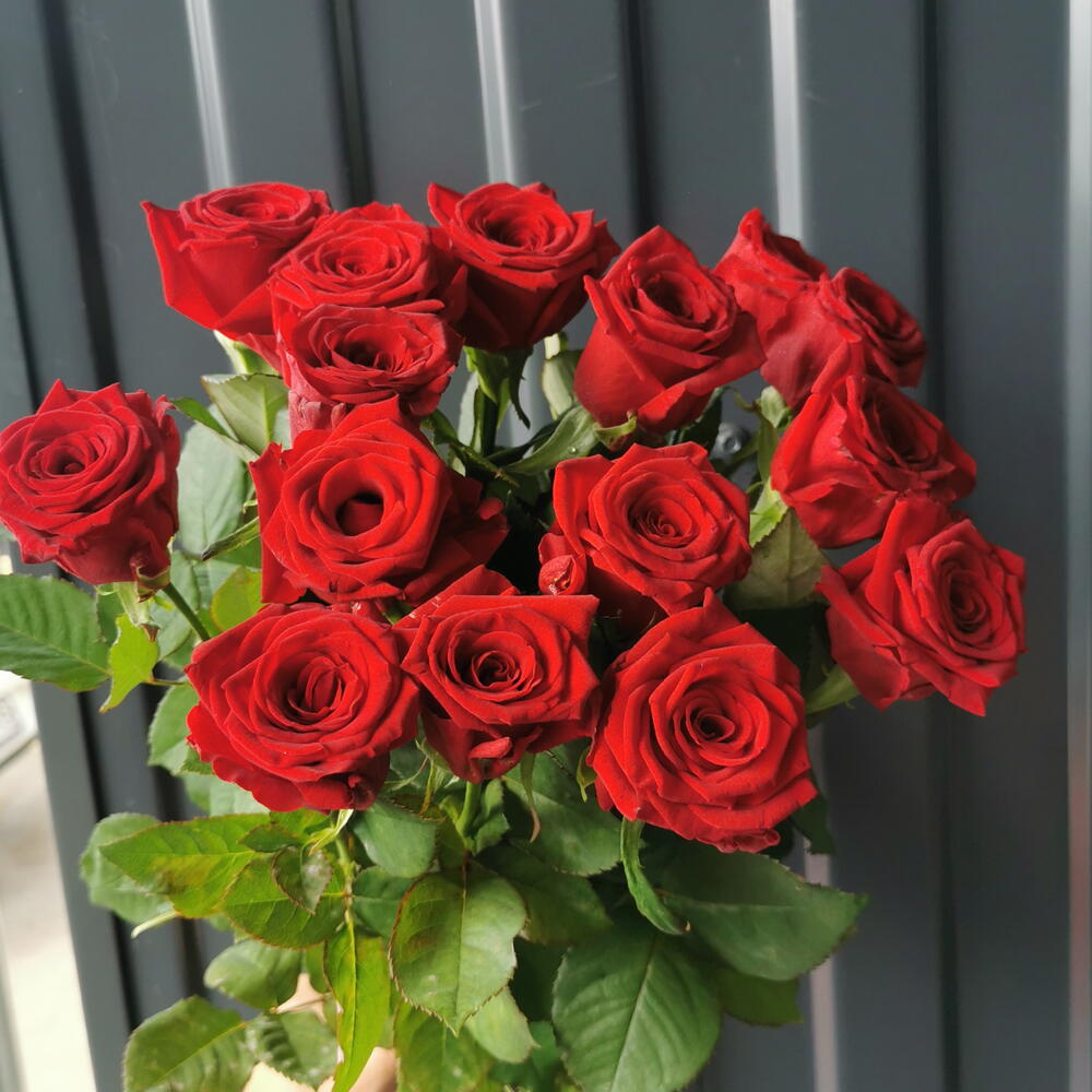 Ред Наоми 15🌹