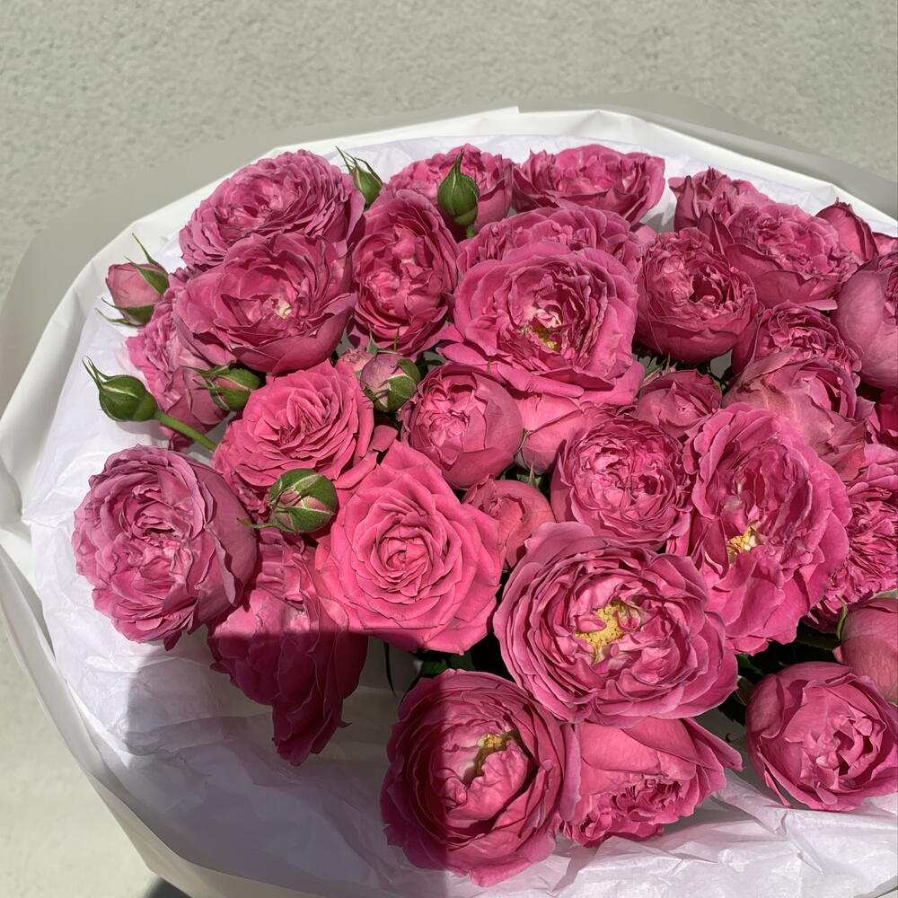 Мисти баблз леденец 🍭