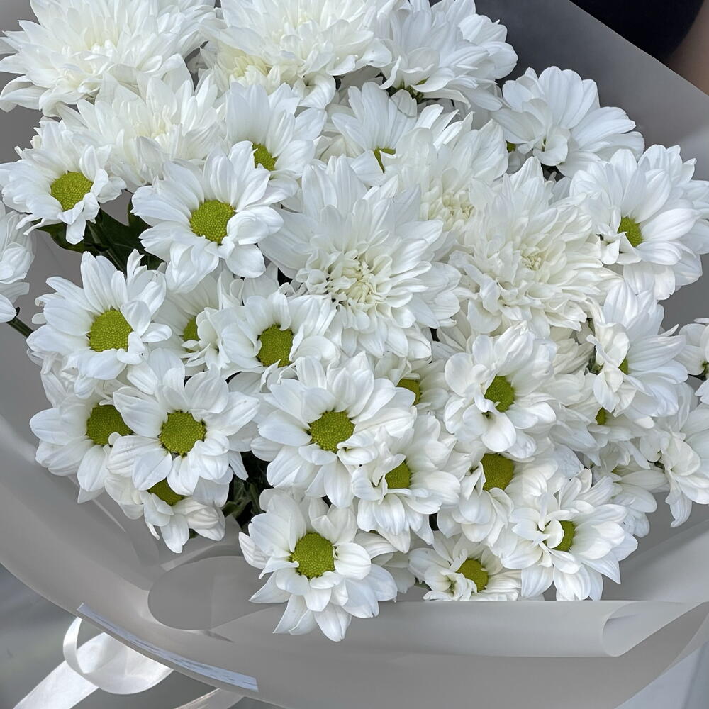 Микс хризантемы