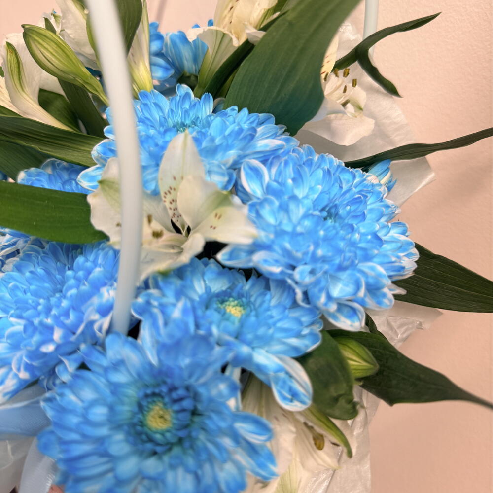 Ice Blue