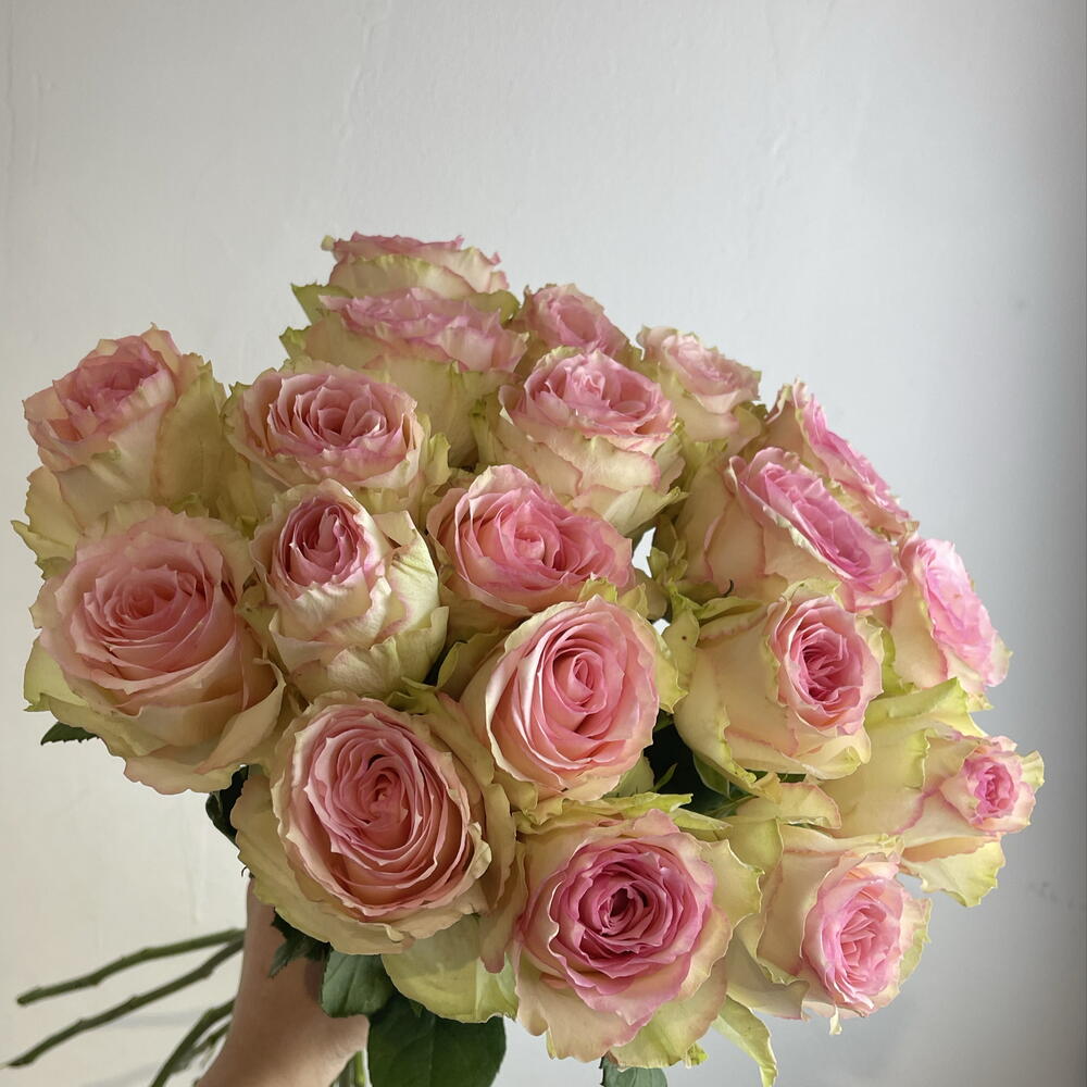 Розы нежные 🌸19