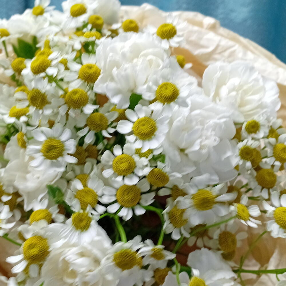 Букет с ромашками