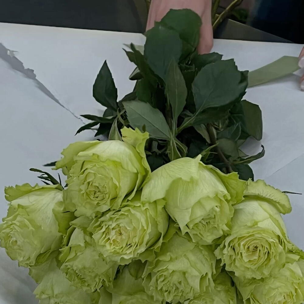 Роза lime