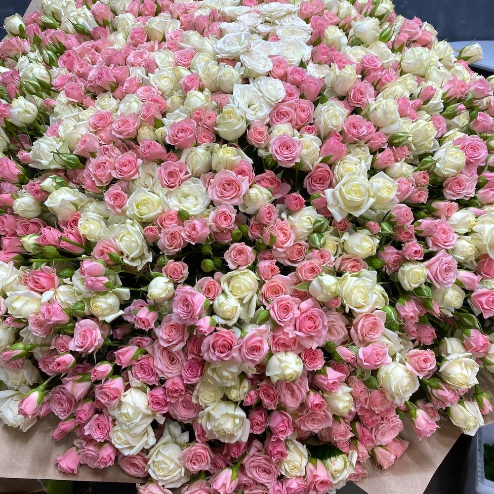 201 кустовых роз