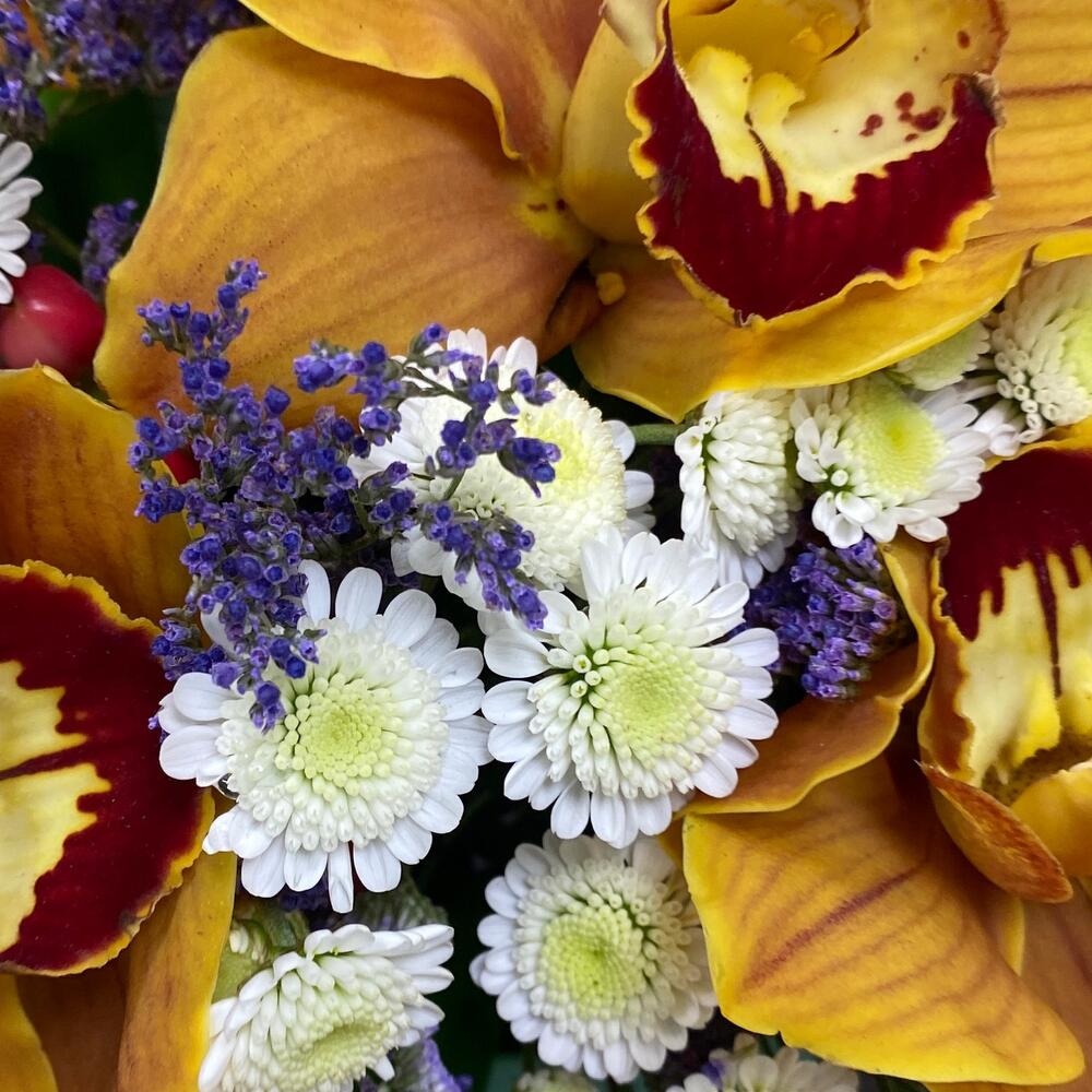 Далви
