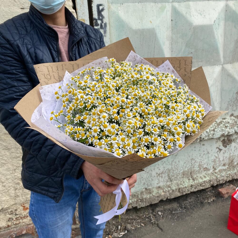 Ромашка ромашка