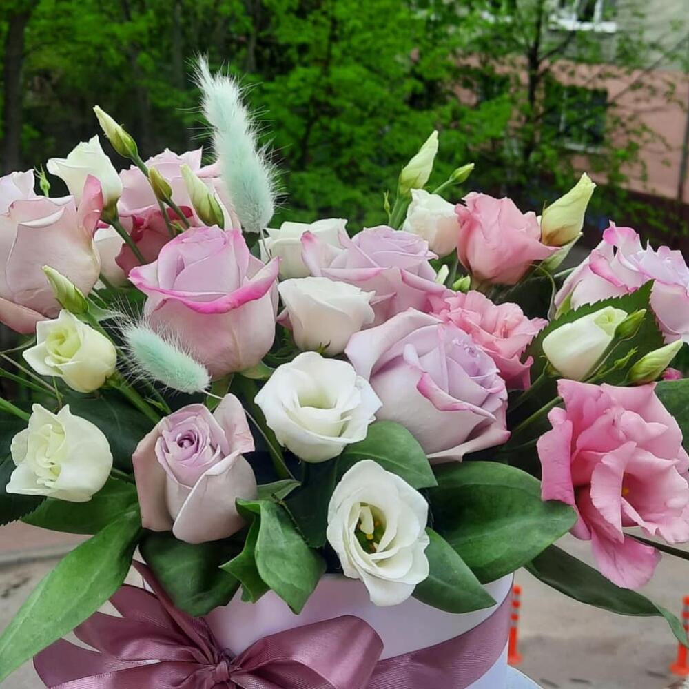 Нежность🌸