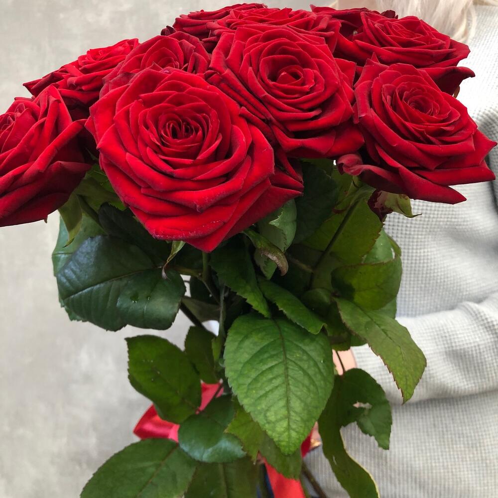 Букет роз 11 RED красные