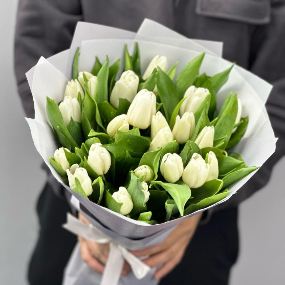 25 tulipán blanco