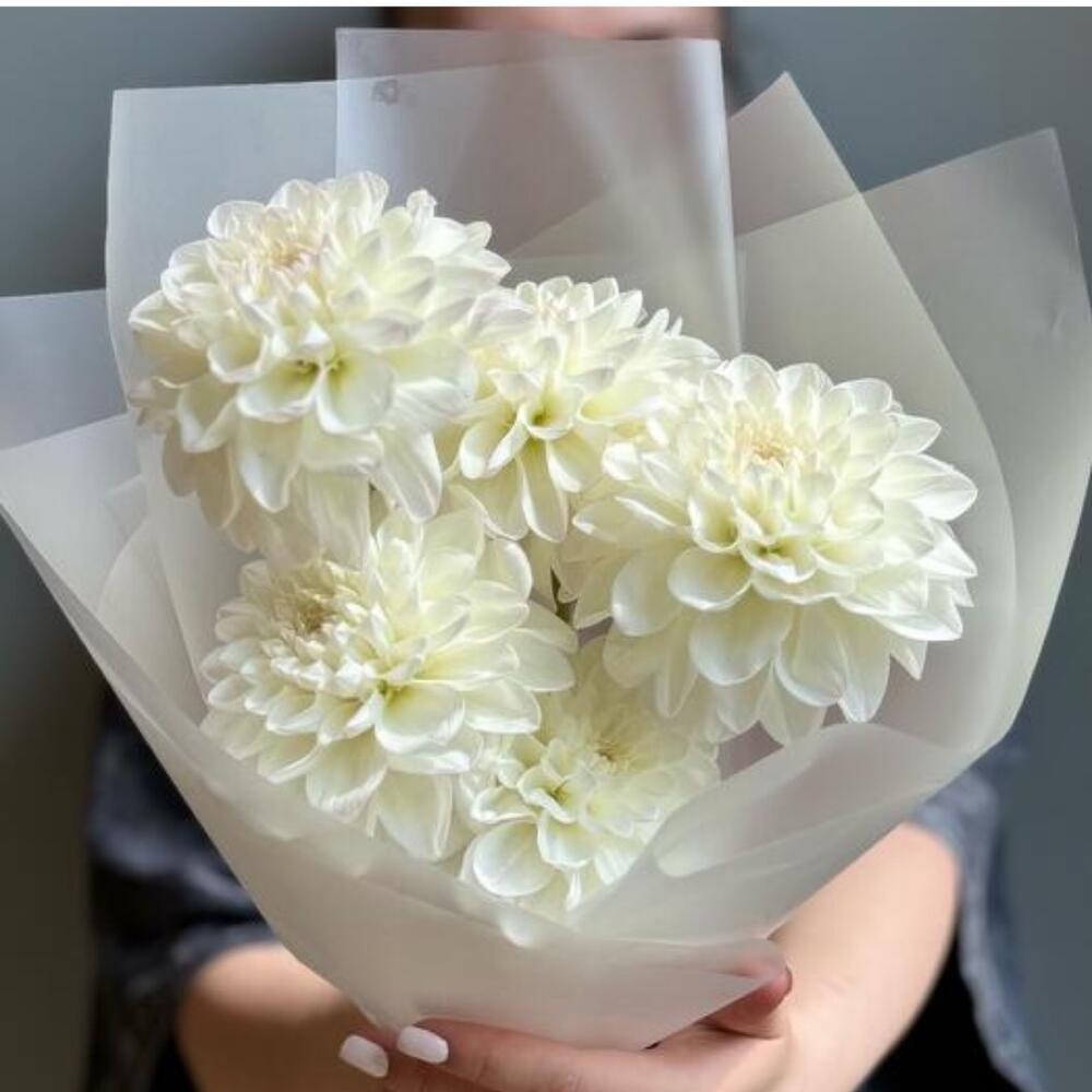 Букет из хризантем белых 5 шт