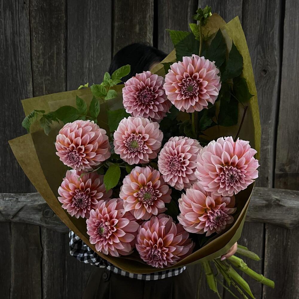 Monobook made of trendy dahlias and raspberry twigs in craft FM431