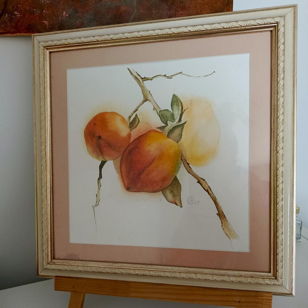 Watercolor painting, persimmon. In the frame
