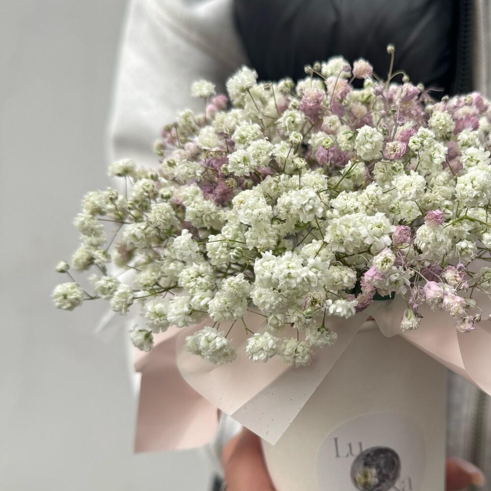 Gypsophila in a white coffee cup