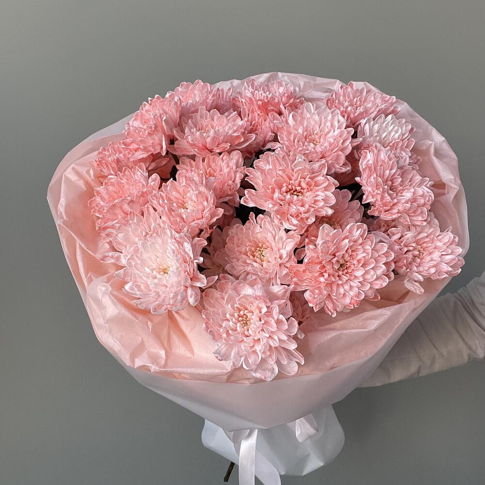 5 розовых хризантем🩷🌸