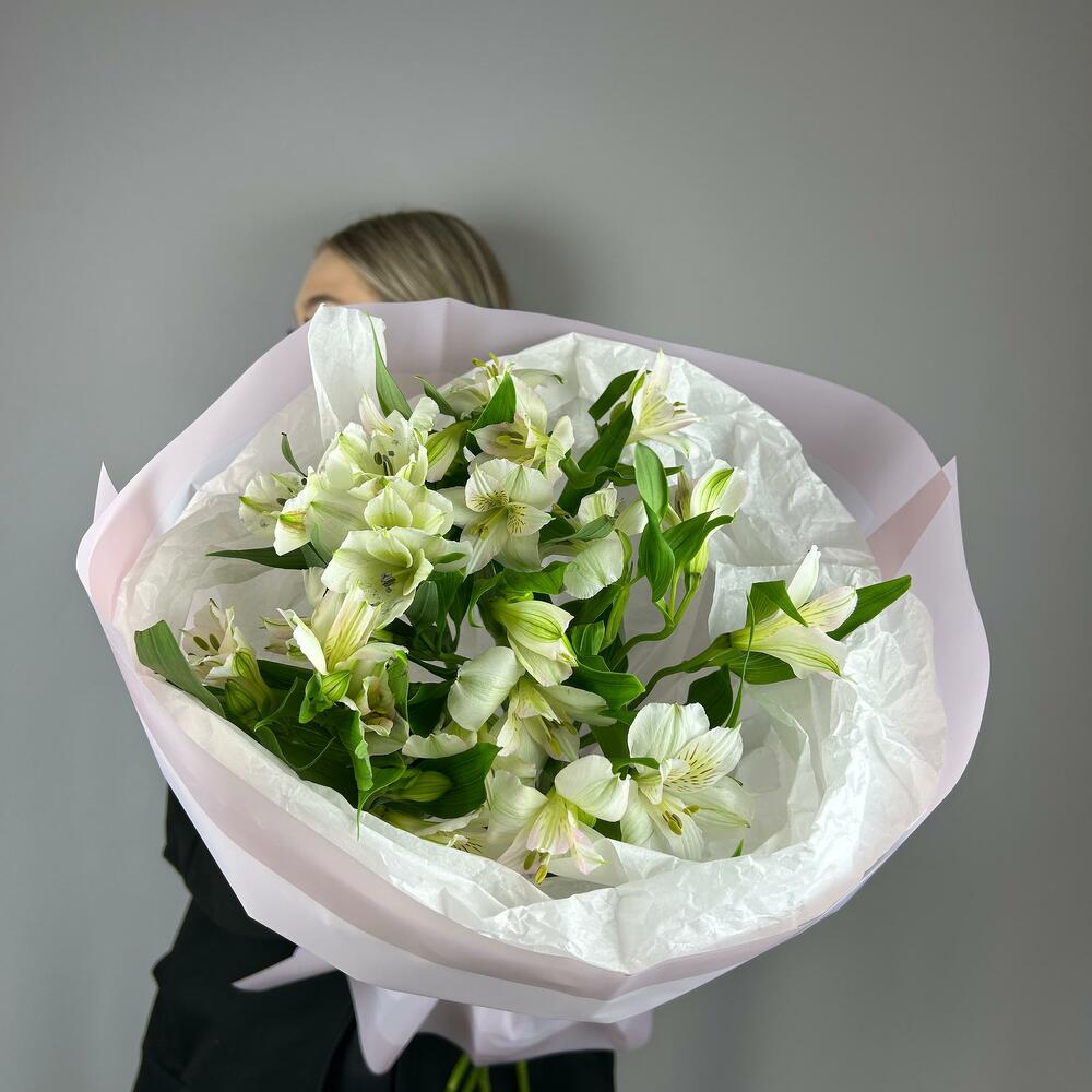 Белая альстромерия
