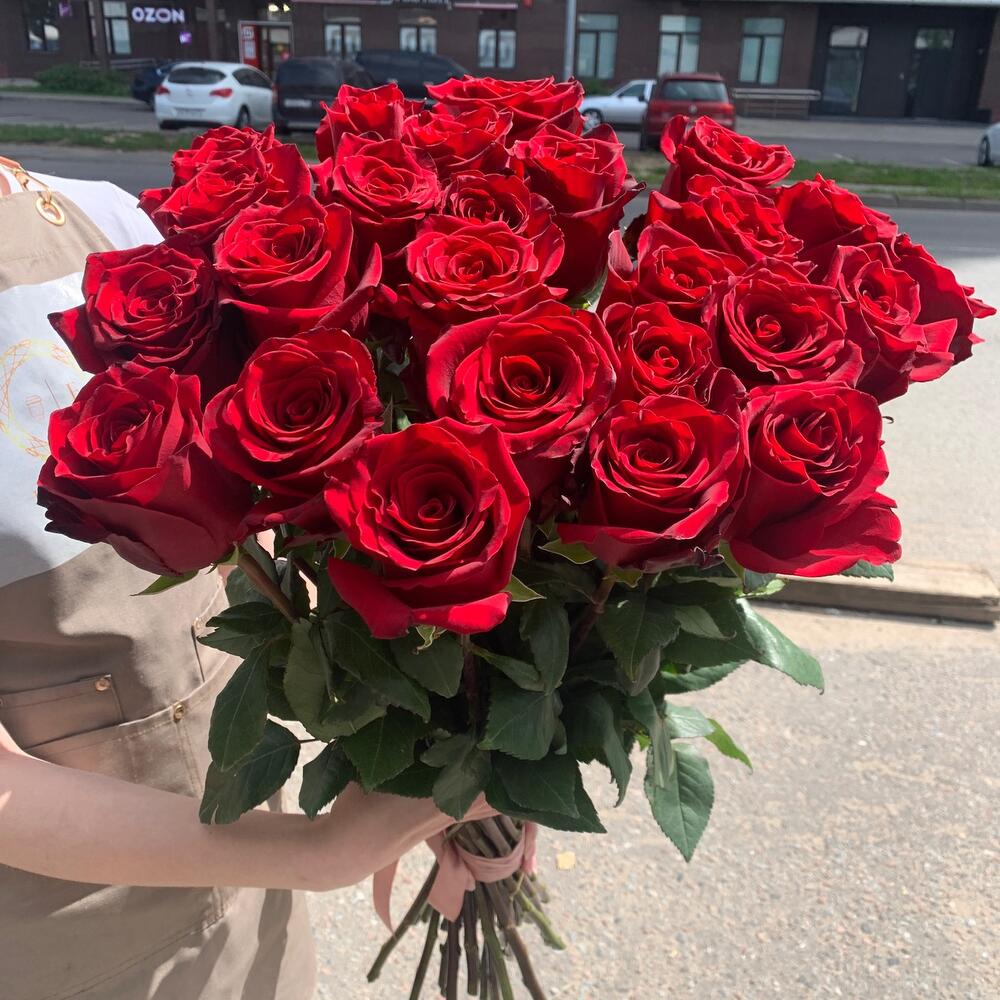 Роза Эксплорер 25 шт