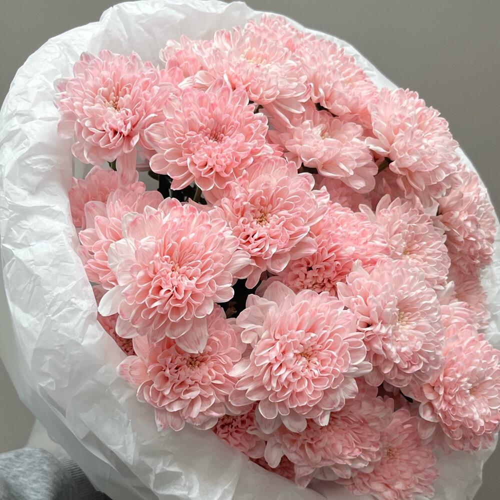 Моно из нежной хризантемы 🌸