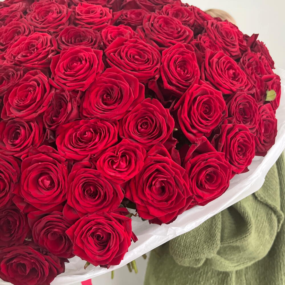 101 бордовая роза😍💋❣️