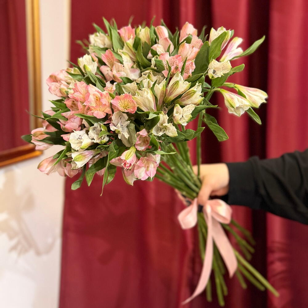 11альстромерий под ленту