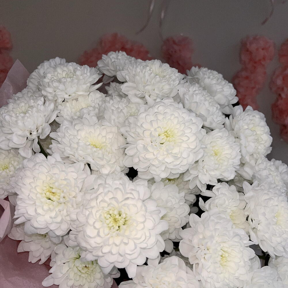 🌸Букет из белых хризантем