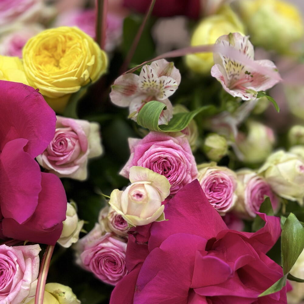 Rose Mth