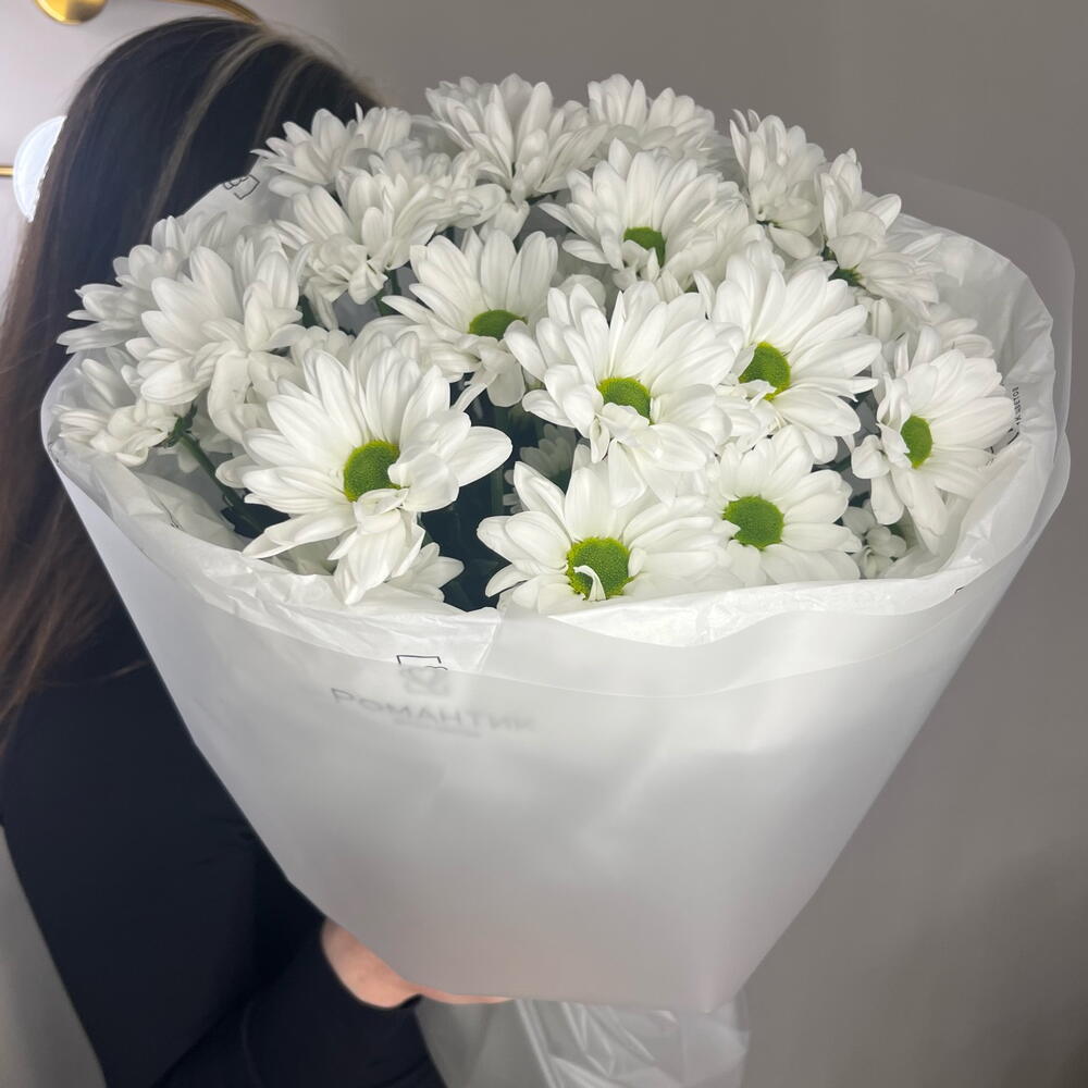 Букет из 5 кустовых хризантем ромашек