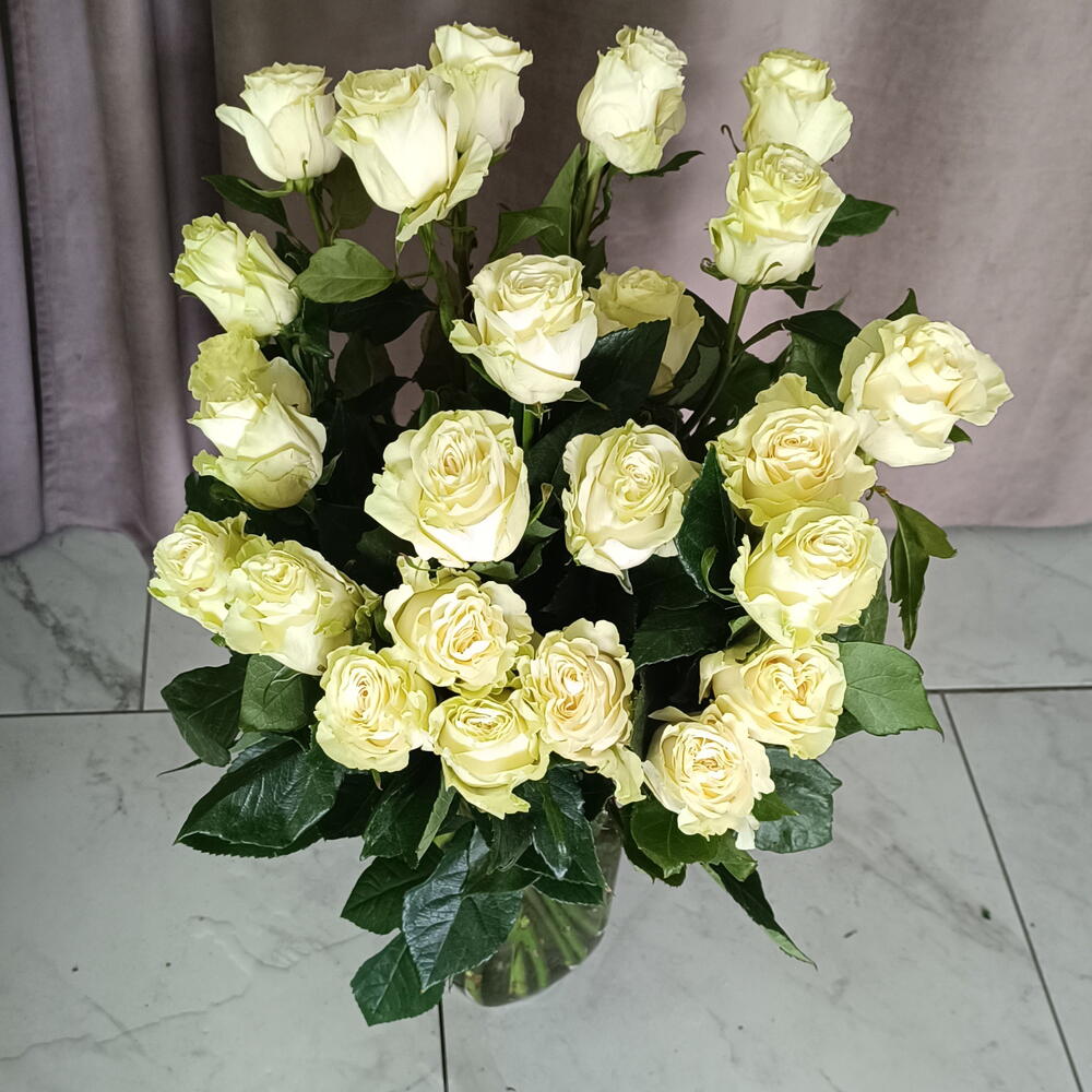 Роза Мондиаль
