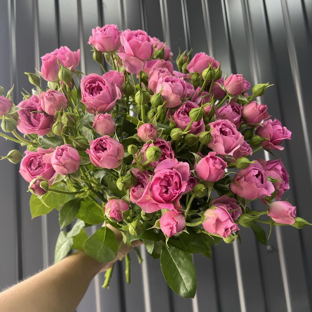 Мисти 🔥💐