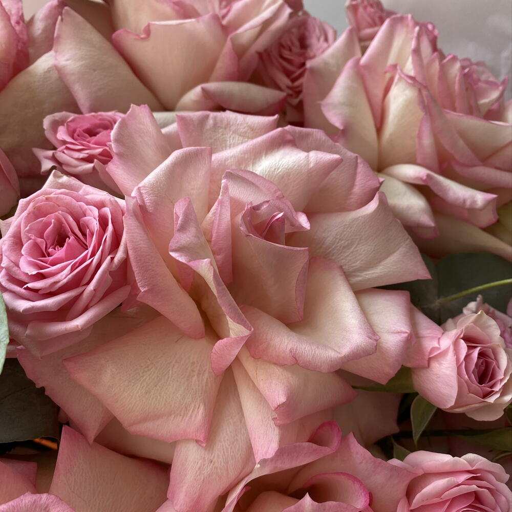 Букет «Розовое облако» из французских и кустовых роз 🌸🩷