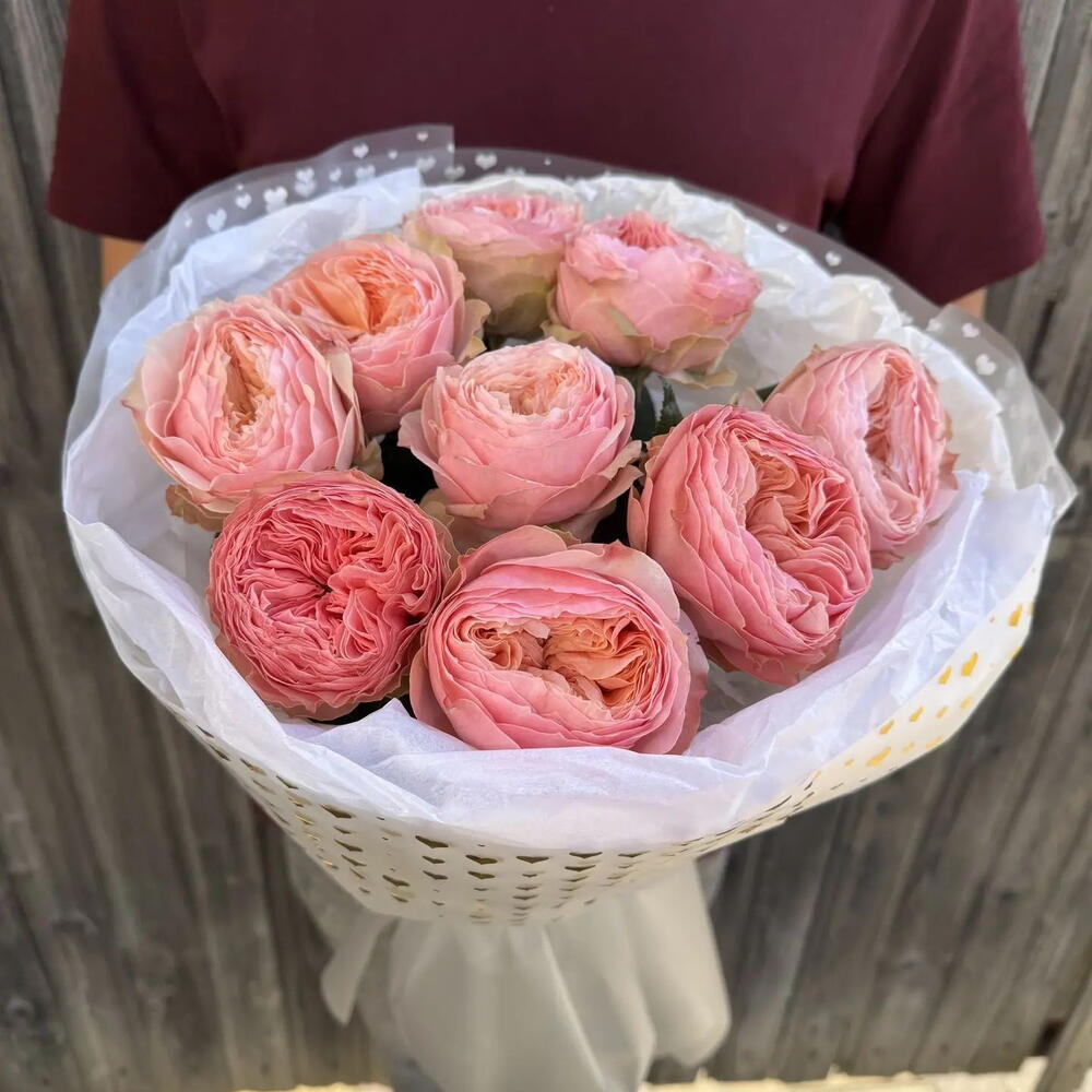 Пиончики🌸😍