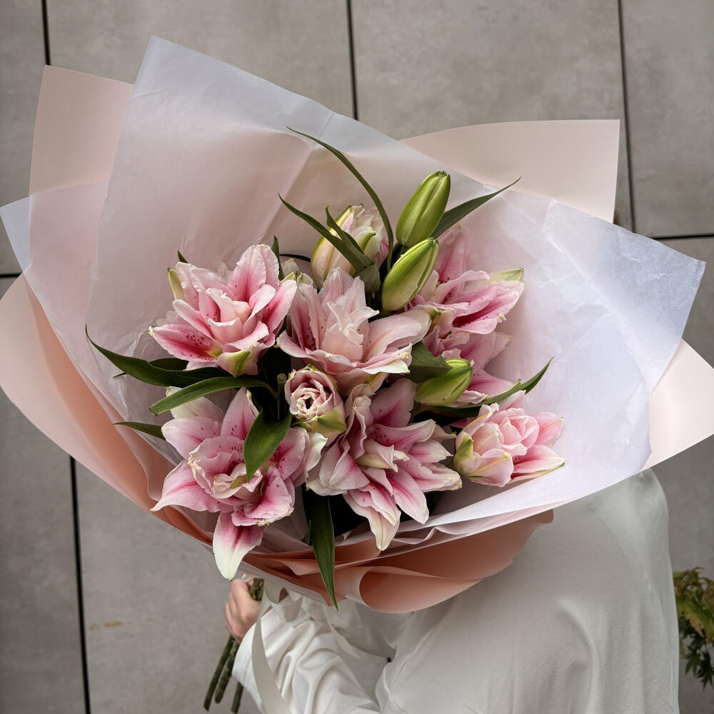 Lily Blush
