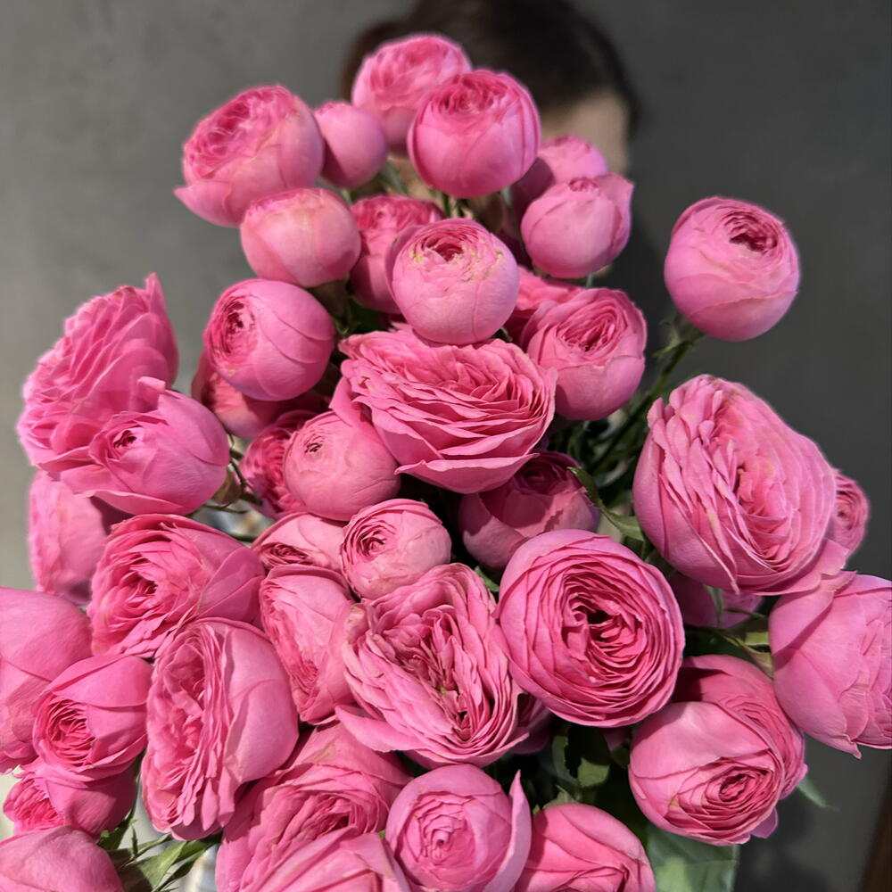Роза кустовая 💗