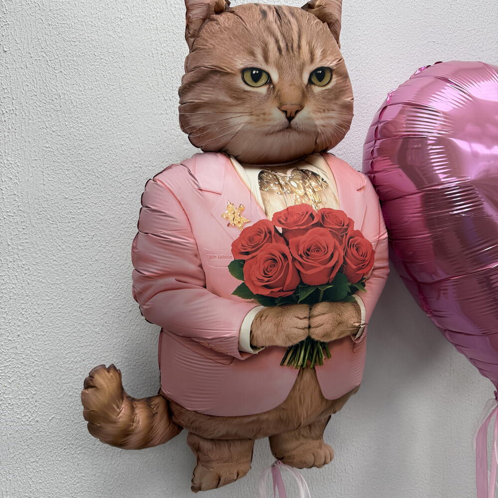Котик с сердцем💗
