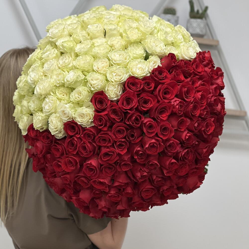 Букет из 201 красной и белой розы