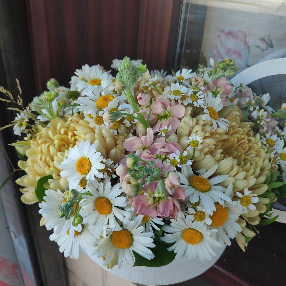 Ромашки в коробке