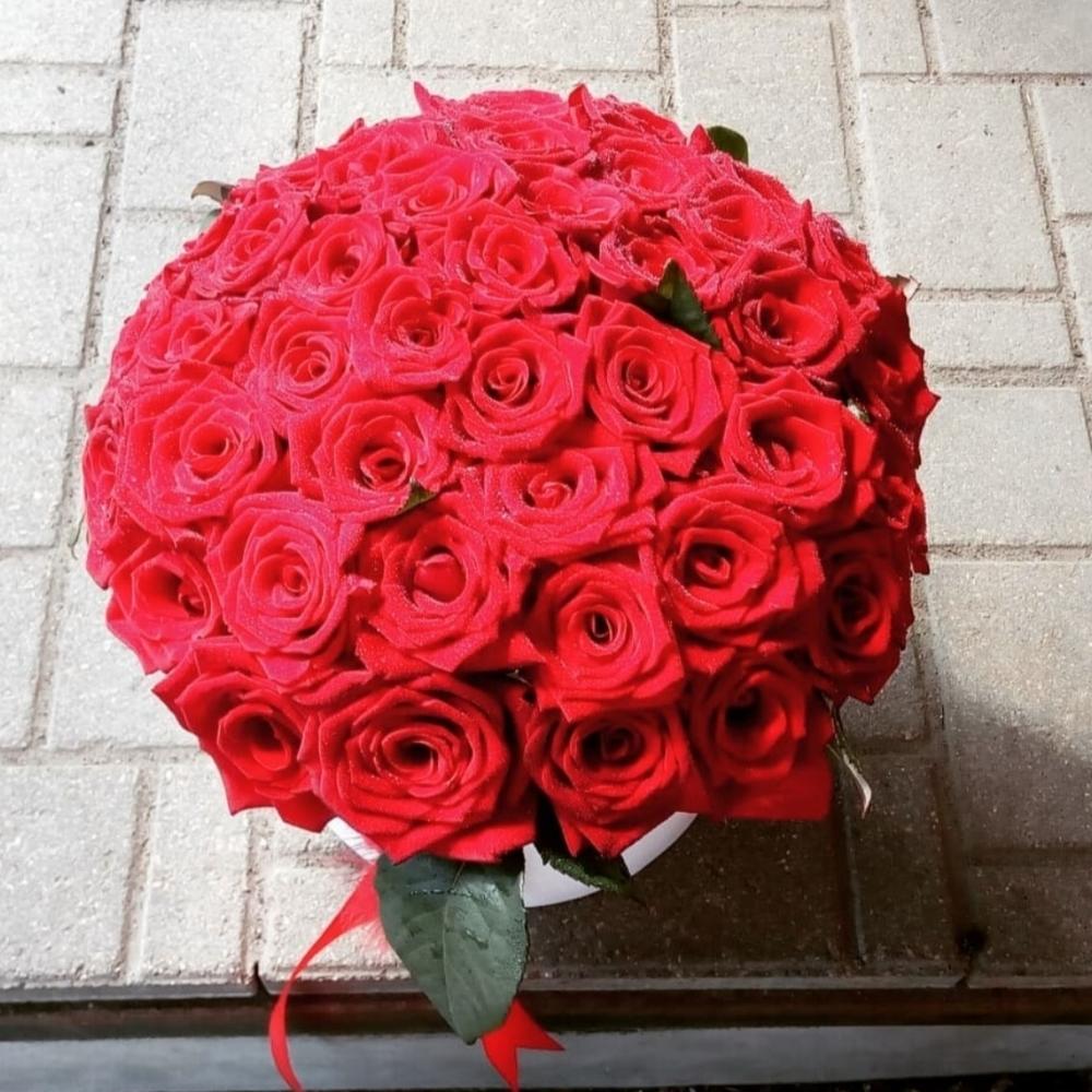 41 роза