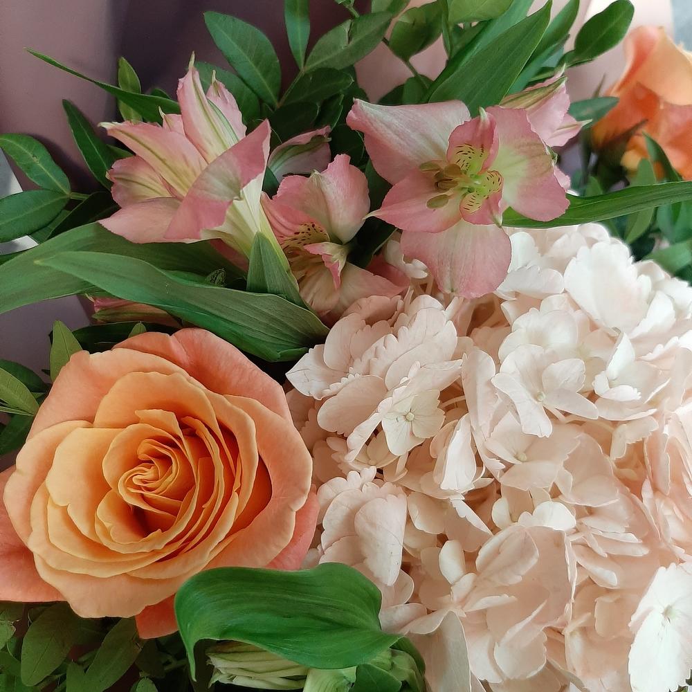 Розовое блаженство