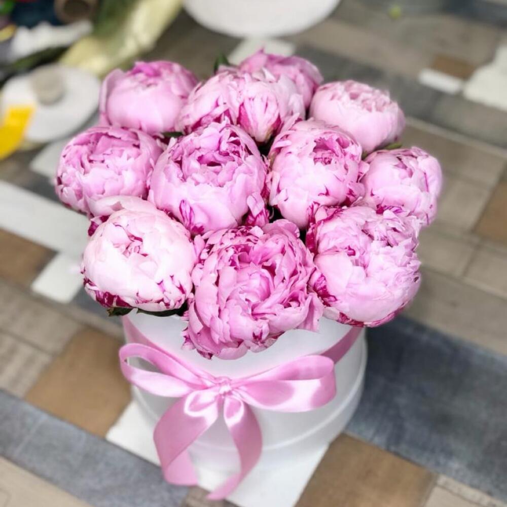 Пионы в коробке💘💘💘